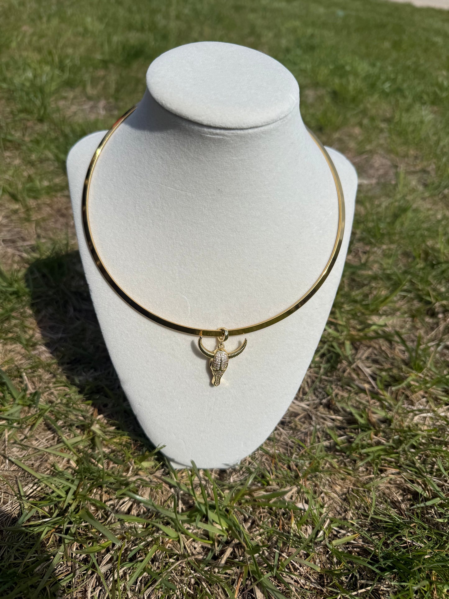 Longhorn Charm